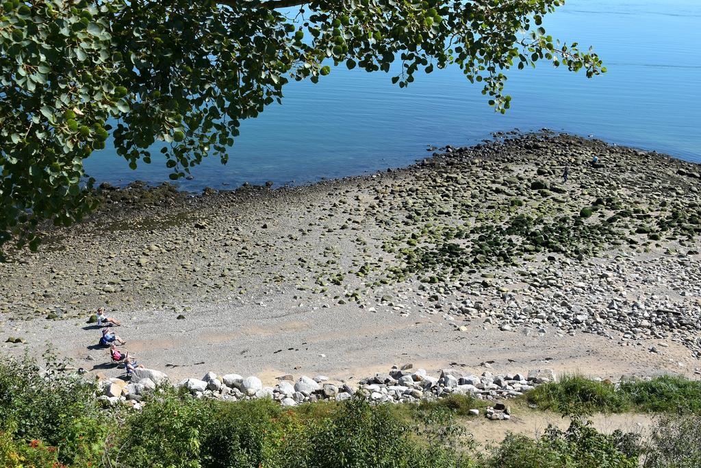 Motel et Chalets Bo-Fleuve Evangeline Saint-Siméon Extérieur photo